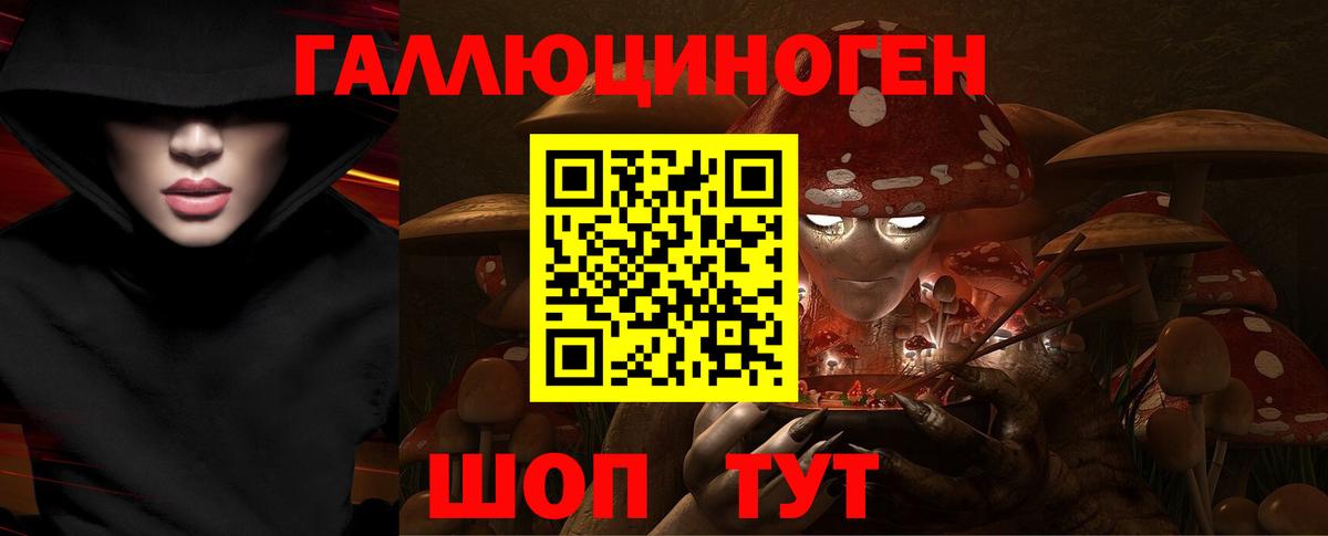 Галлюциногенные грибы Psilocybine cubensis Усть-Илимск